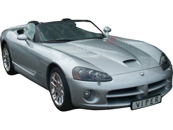 Die giftige Viper - gr&ouml;&szlig;eres Bild durch Anklicken!