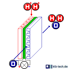operation of a fuel cell with hydrogen or Methanol directly (without conversion)