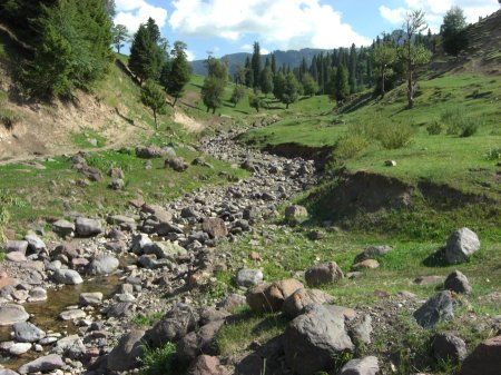 Nalati Graslandschaft- größeres Bild durch Anklicken!